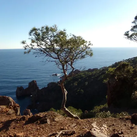 Pinede Soleil Apartment Saint-Raphael (Var)